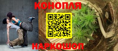 ПСИЛОЦИБИНОВЫЕ ГРИБЫ Новозыбков