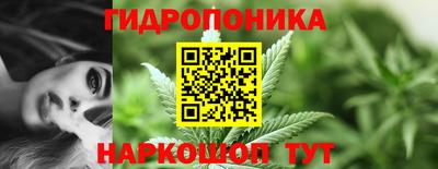 ПСИЛОЦИБИНОВЫЕ ГРИБЫ Новозыбков