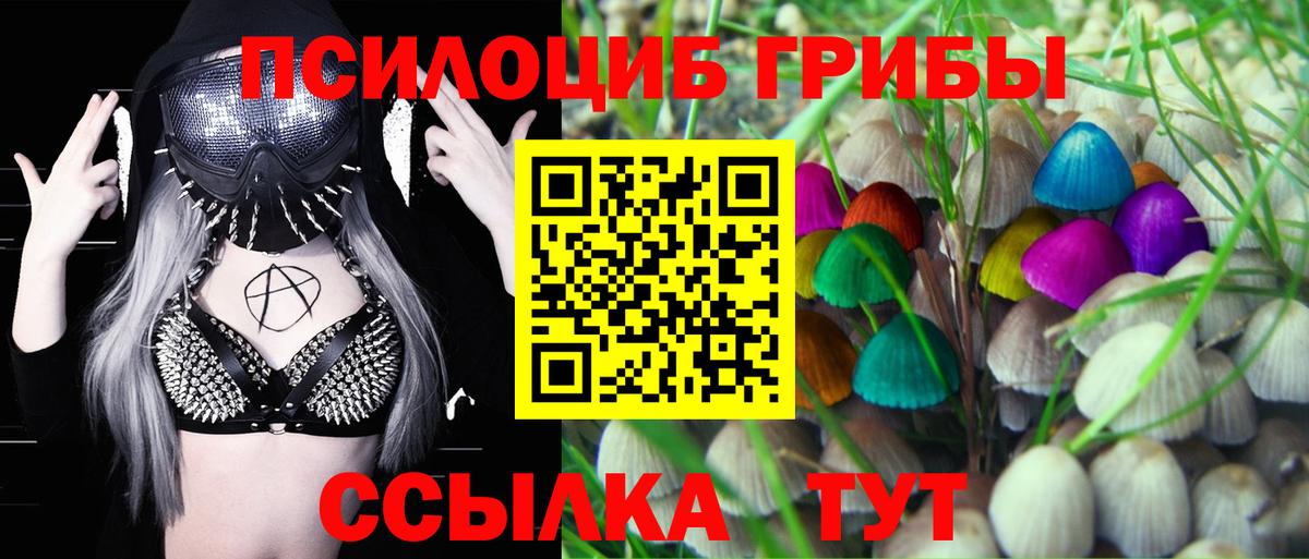 Ртищево  Галлюциногенные грибы мухоморы  Галлюциногенные грибы прущие грибы  Вход с VPN 